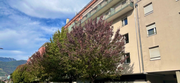 Artémisia Campus Universités