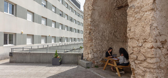 Studélites Le Premium