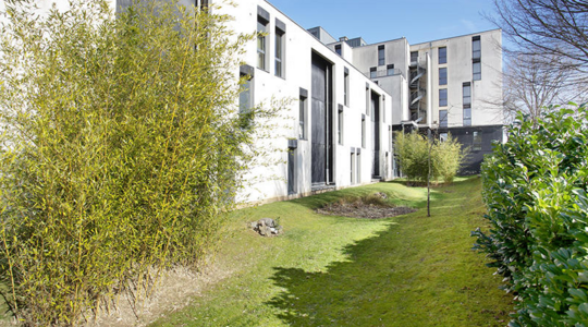 Neoresid Lille Lambret