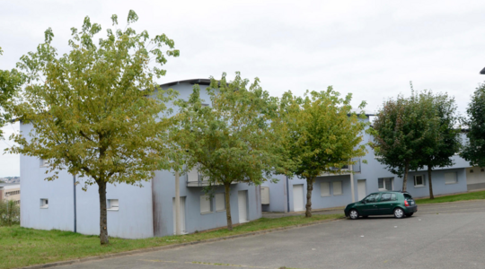 Avis - Le Ribay - Le Mans