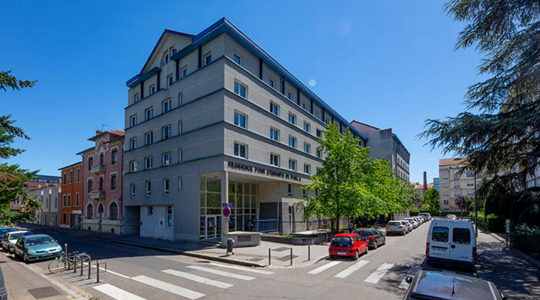 Studélites Dufy