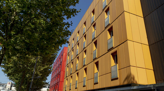 Studélites Cenon