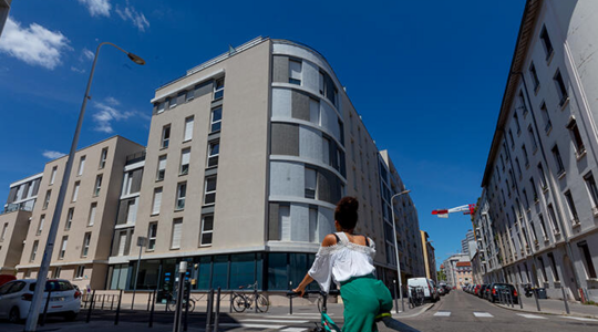 Studélites Le Saint-Louis