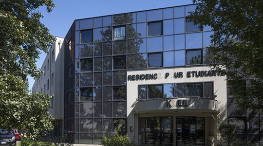 Studélites Klee