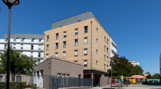 Studélites le Cassiopée