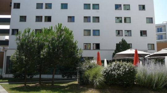 Gestetud Le Michel Ange
